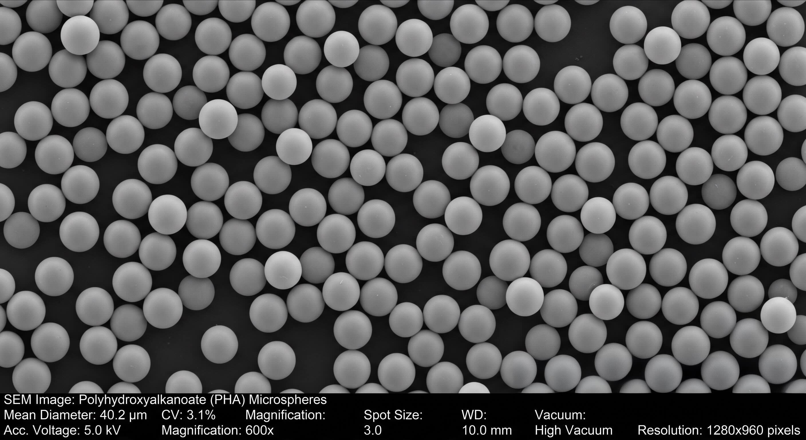 PHA Microspheres