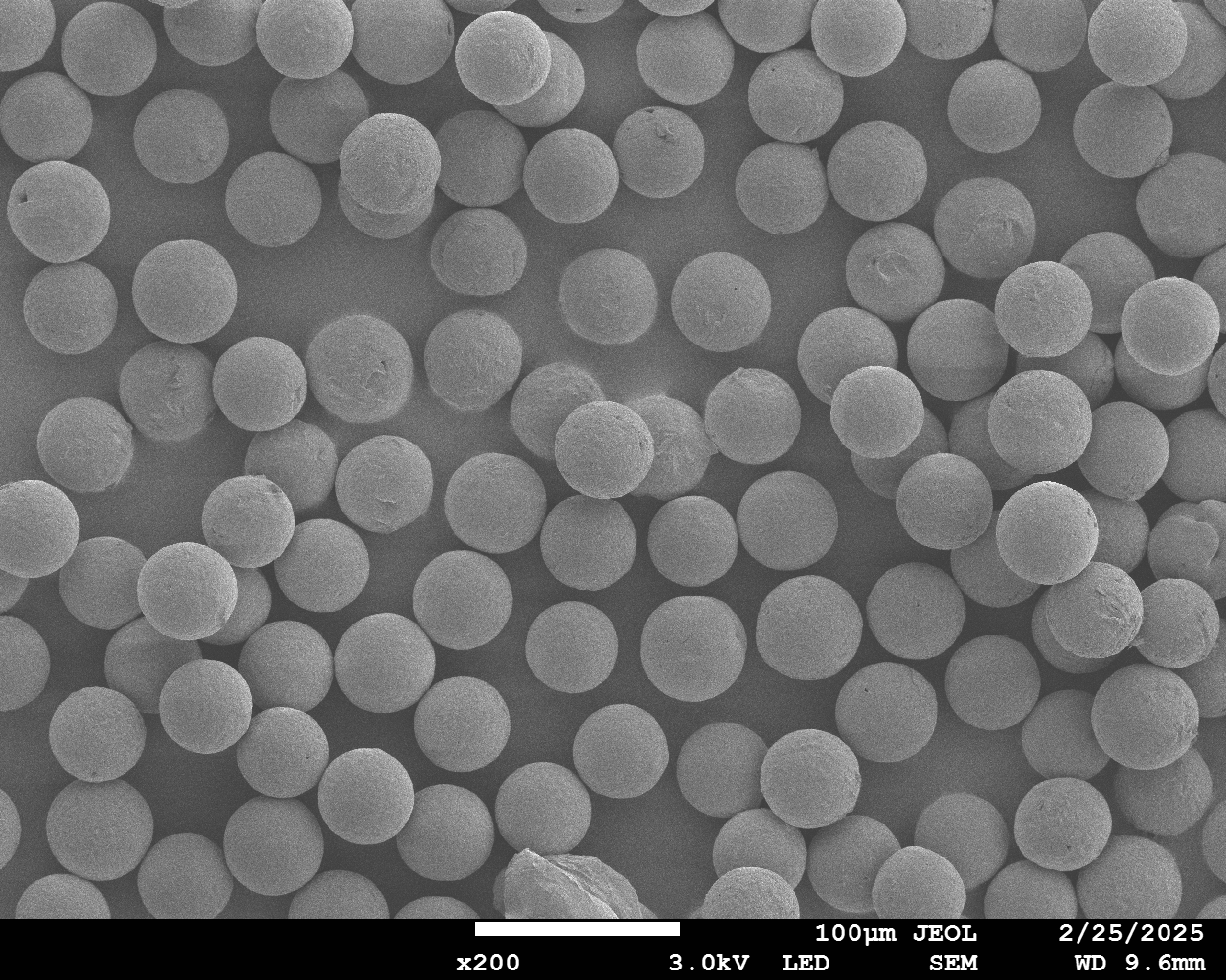 PCL Microspheres