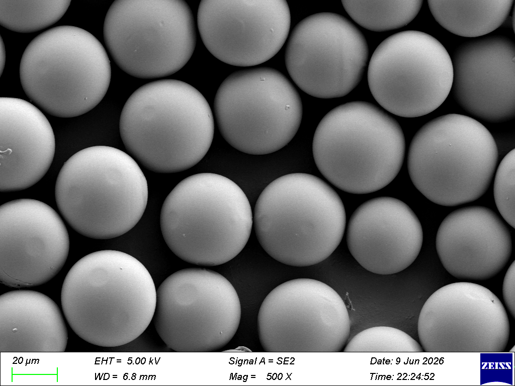 PLGA Microspheres