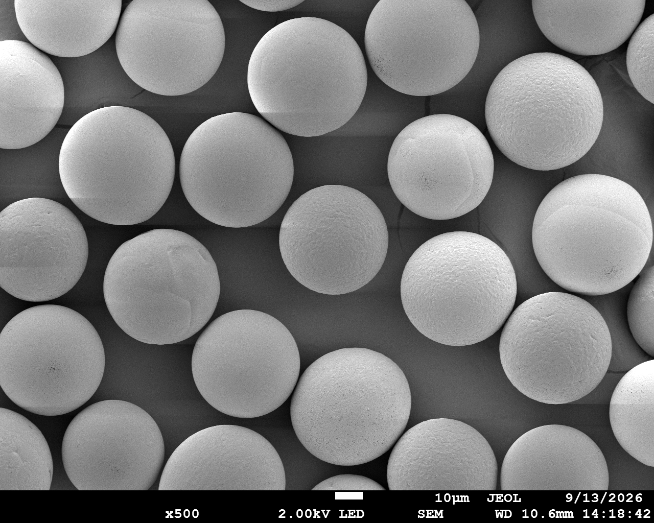 PLLA Microspheres