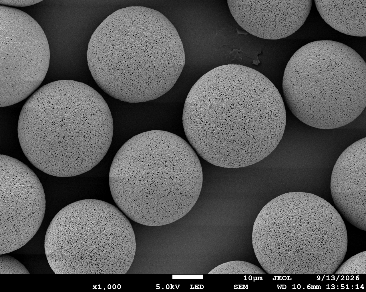 PPDO Microspheres