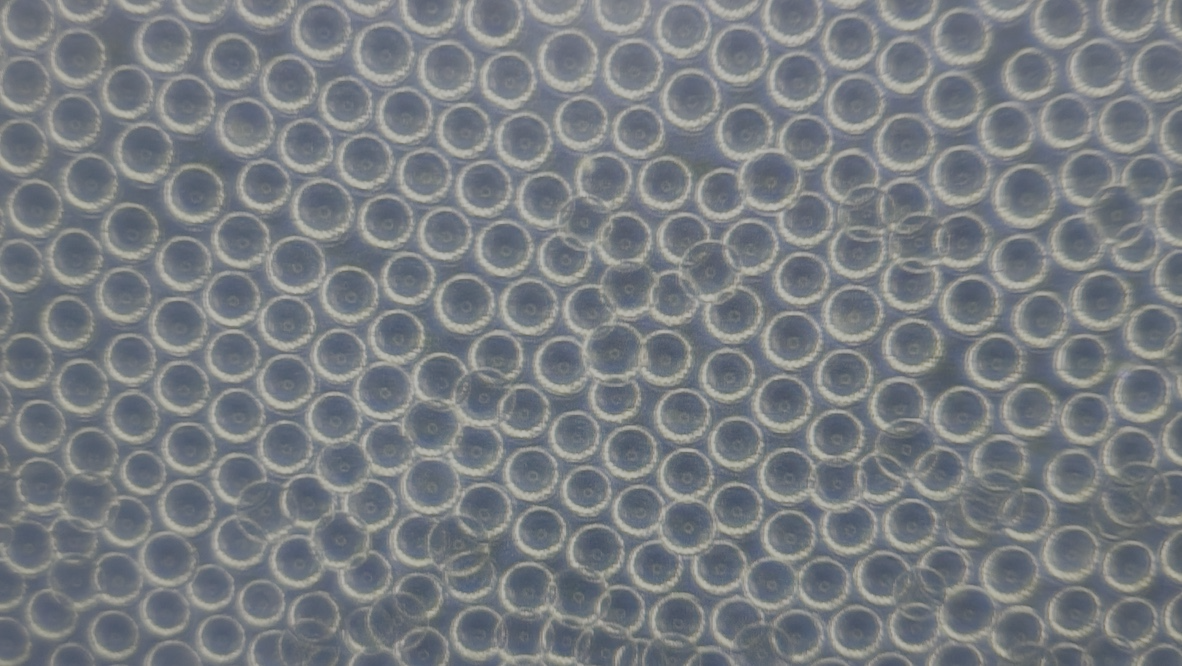 HAp Microspheres