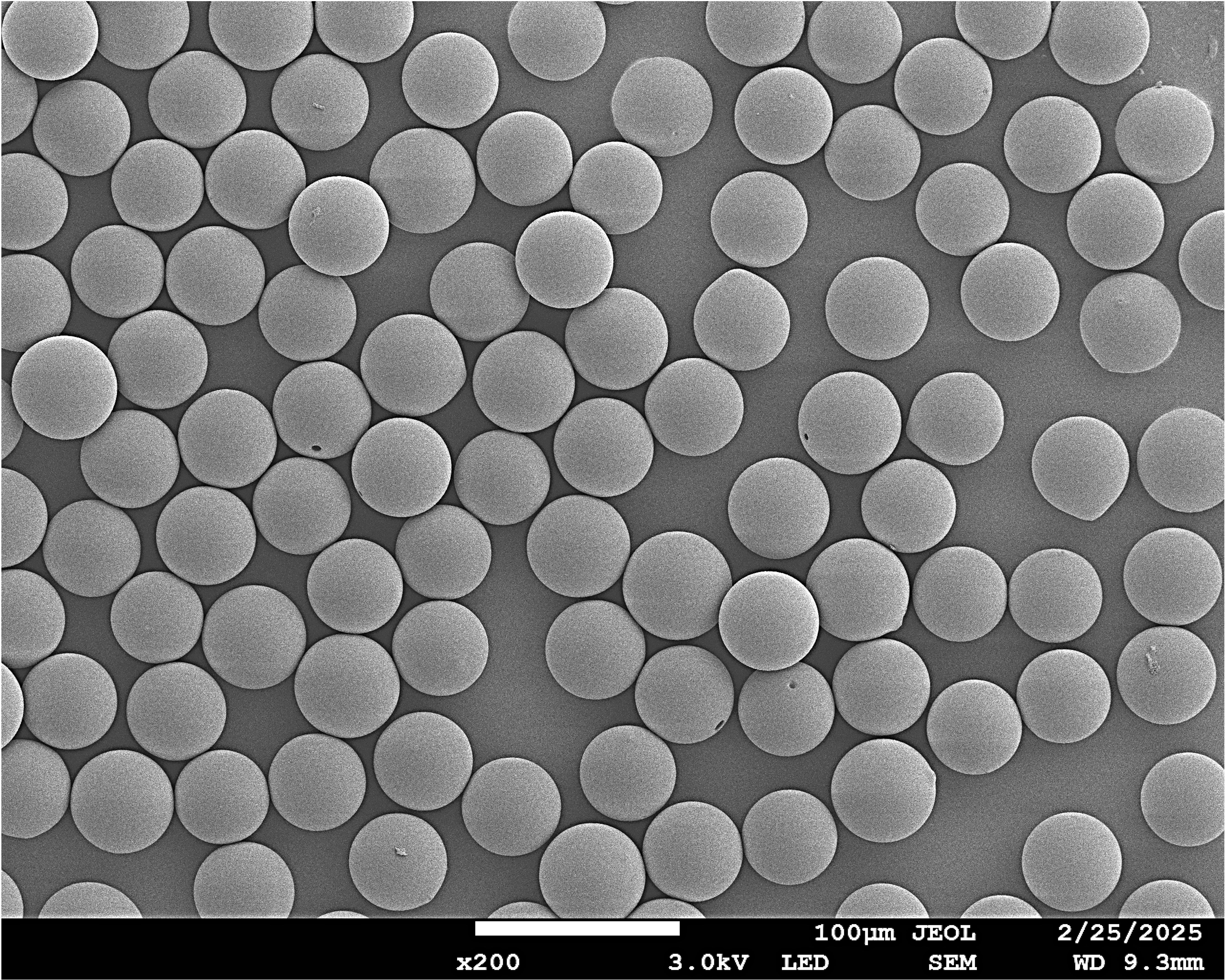 PMMA Microspheres