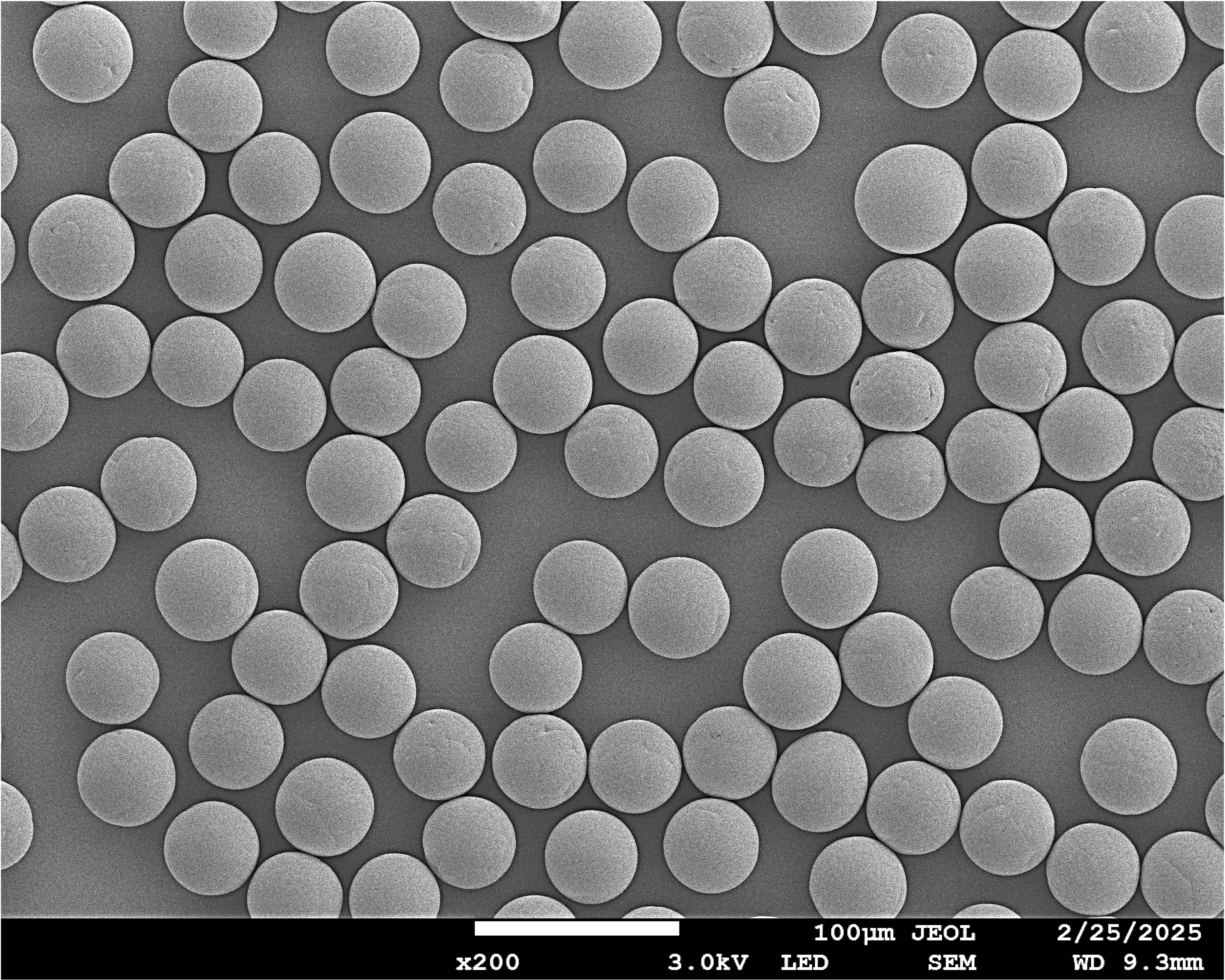 PDLA Microspheres